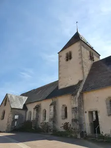 Chaumard (58120)